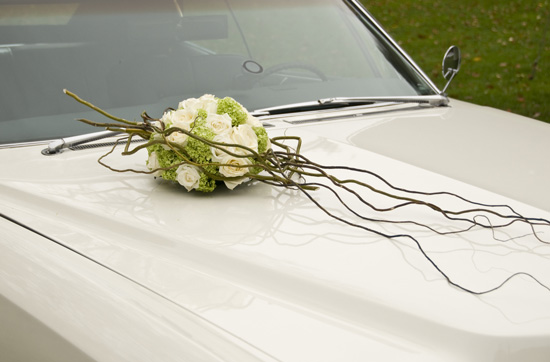 Capot de Voiture
