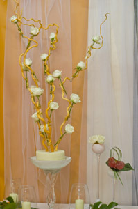 Salon du Mariage