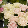 Bouquet de Rose
